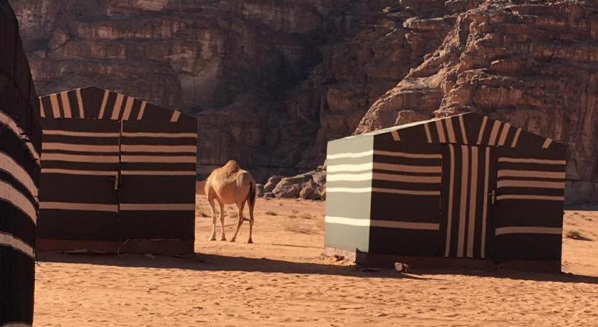 Wadi Rum Desert Heart Camp Exterior photo
